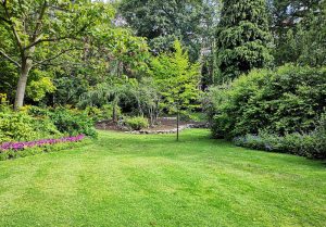 Optimiser l'expérience du jardin à Bagat-en-Quercy